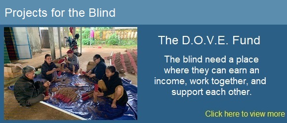 Blind Project