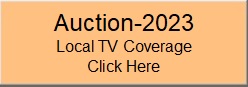 Auction-2023